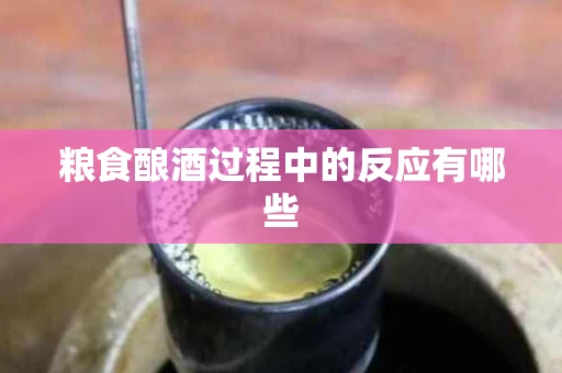 粮食酿酒过程中的反应有哪些