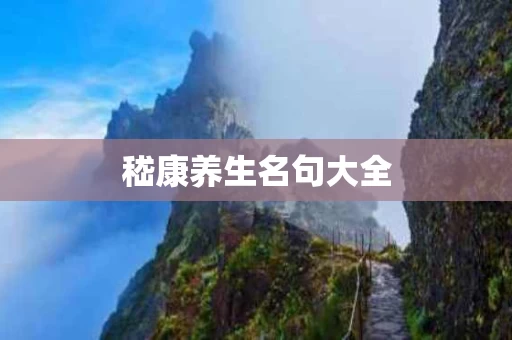 嵇康养生名句大全