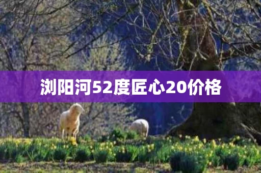 浏阳河52度匠心20价格