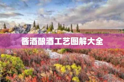 酱酒酿酒工艺图解大全