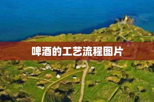 啤酒的工艺流程图片