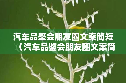汽车品鉴会朋友圈文案简短（汽车品鉴会朋友圈文案简短精辟）