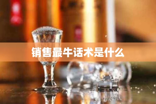 销售最牛话术是什么