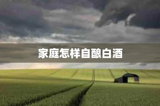 家庭怎样自酿白酒
