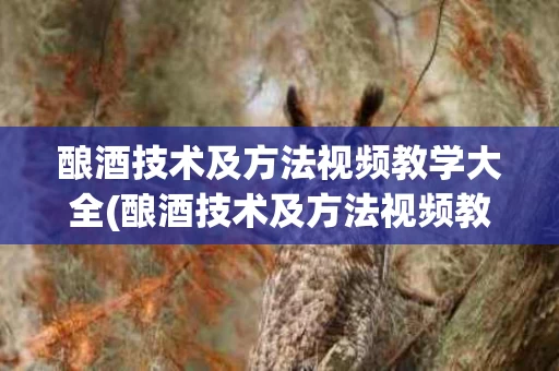 酿酒技术及方法视频教学大全(酿酒技术及方法视频教学大全图片)