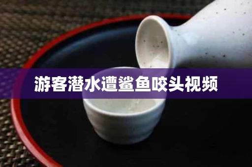 游客潜水遭鲨鱼咬头视频