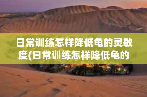 日常训练怎样降低龟的灵敏度(日常训练怎样降低龟的灵敏度持续多久)