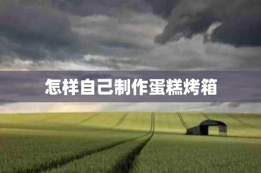 怎样自己制作蛋糕烤箱