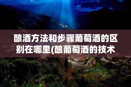 酿酒方法和步骤葡萄酒的区别在哪里(酿葡萄酒的技术)