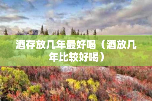 酒存放几年最好喝（酒放几年比较好喝）