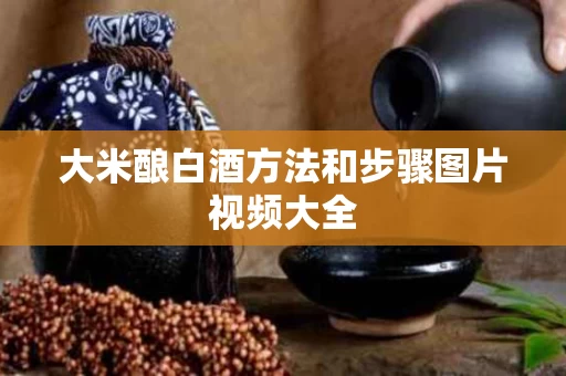 大米酿白酒方法和步骤图片视频大全