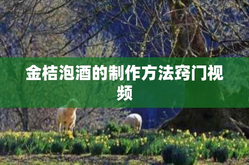 金桔泡酒的制作方法窍门视频