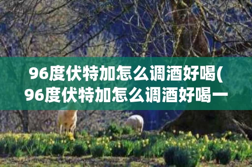 96度伏特加怎么调酒好喝(96度伏特加怎么调酒好喝一点)