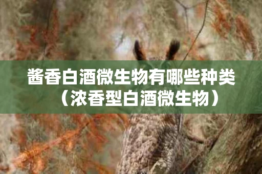 酱香白酒微生物有哪些种类（浓香型白酒微生物）
