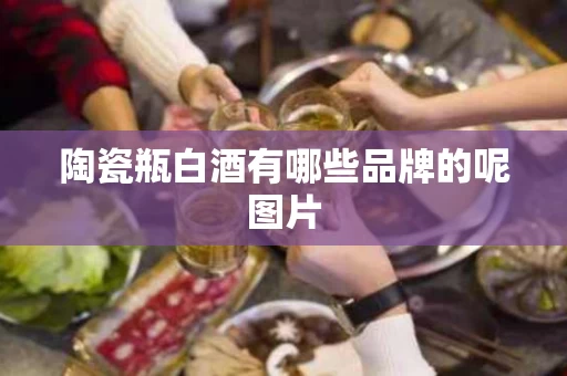 陶瓷瓶白酒有哪些品牌的呢图片