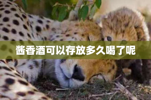 酱香酒可以存放多久喝了呢