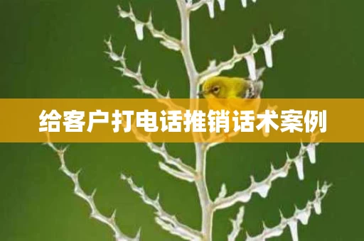 给客户打电话推销话术案例
