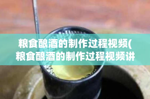 粮食酿酒的制作过程视频(粮食酿酒的制作过程视频讲解)