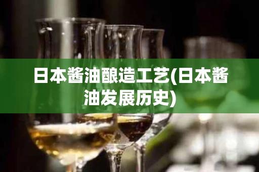 日本酱油酿造工艺(日本酱油发展历史)