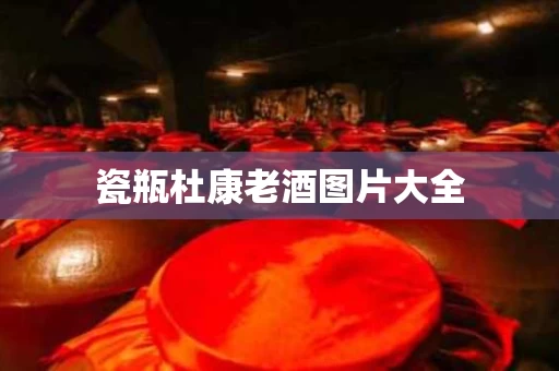 瓷瓶杜康老酒图片大全