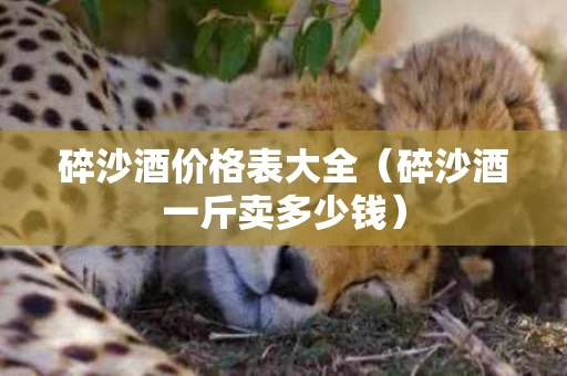 碎沙酒价格表大全（碎沙酒一斤卖多少钱）