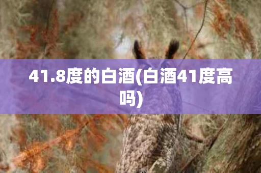41.8度的白酒(白酒41度高吗)