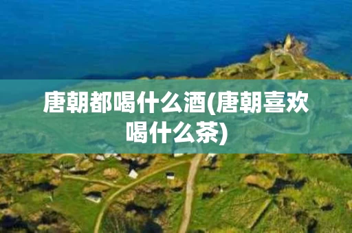 唐朝都喝什么酒(唐朝喜欢喝什么茶)