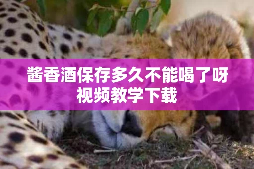 酱香酒保存多久不能喝了呀视频教学下载