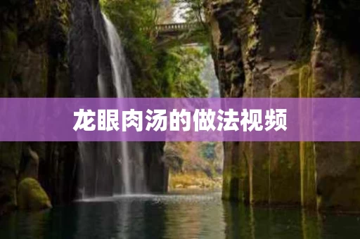 龙眼肉汤的做法视频