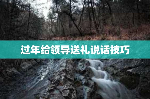 过年给领导送礼说话技巧