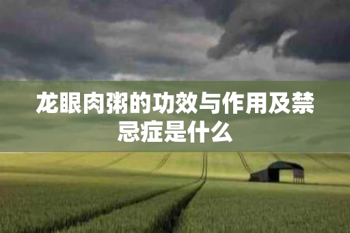 龙眼肉粥的功效与作用及禁忌症是什么 龙眼肉粥的功效与作用及禁忌症是什么