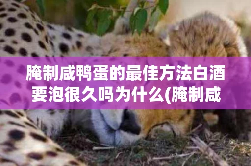 腌制咸鸭蛋的最佳方法白酒要泡很久吗为什么(腌制咸鸭蛋放白酒有什么作用)