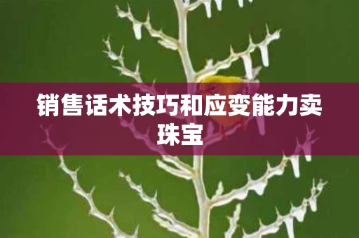 销售话术技巧和应变能力卖珠宝