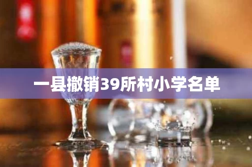 一县撤销39所村小学名单