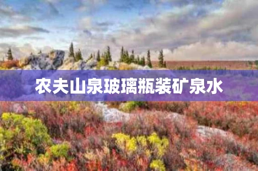 农夫山泉玻璃瓶装矿泉水