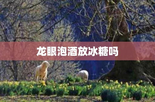 龙眼泡酒放冰糖吗 龙眼泡酒放冰糖吗