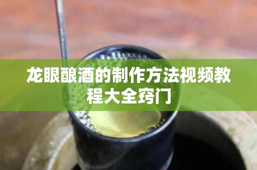 龙眼酿酒的制作方法视频教程大全窍门
