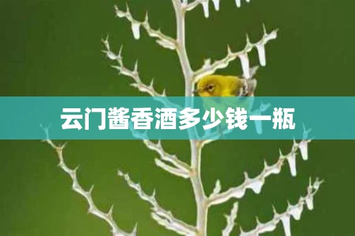 云门酱香酒多少钱一瓶