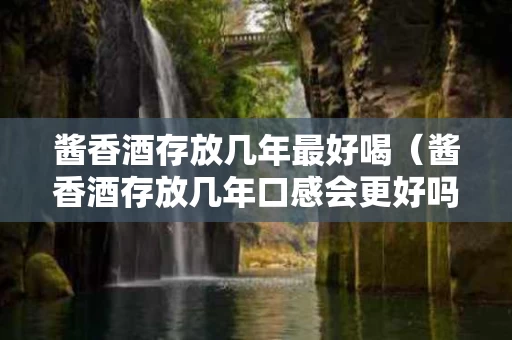 酱香酒存放几年最好喝（酱香酒存放几年口感会更好吗）