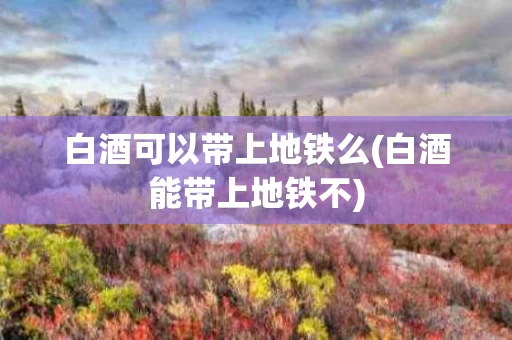 白酒可以带上地铁么(白酒能带上地铁不)