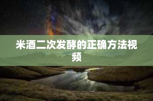 米酒二次发酵的正确方法视频