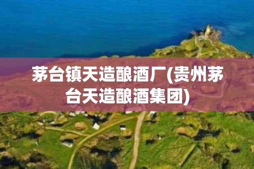 茅台镇天造酿酒厂(贵州茅台天造酿酒集团)