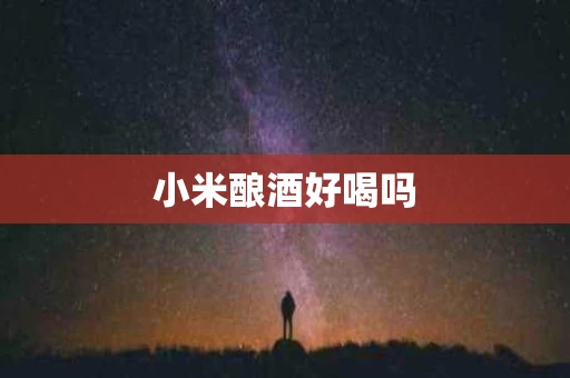 小米酿酒好喝吗