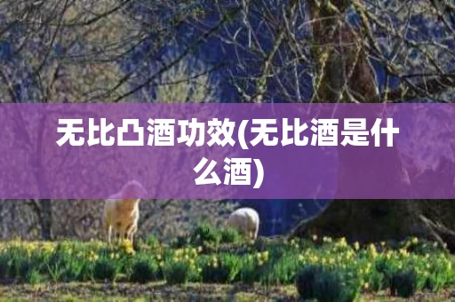 无比凸酒功效(无比酒是什么酒)
