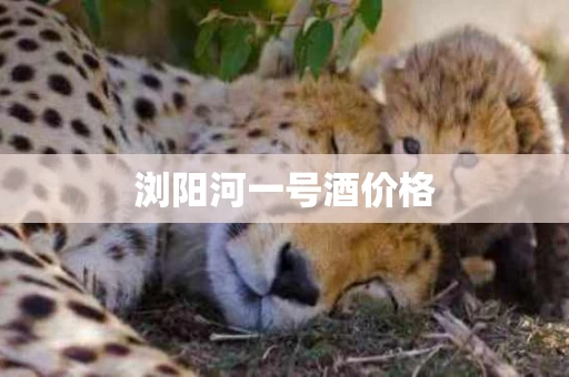 浏阳河一号酒价格