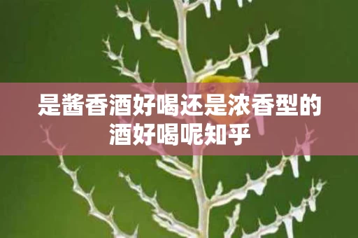 是酱香酒好喝还是浓香型的酒好喝呢知乎