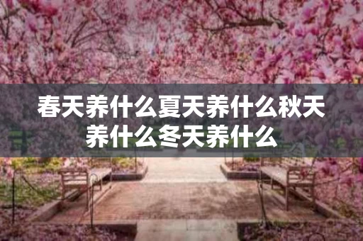 春天养什么夏天养什么秋天养什么冬天养什么