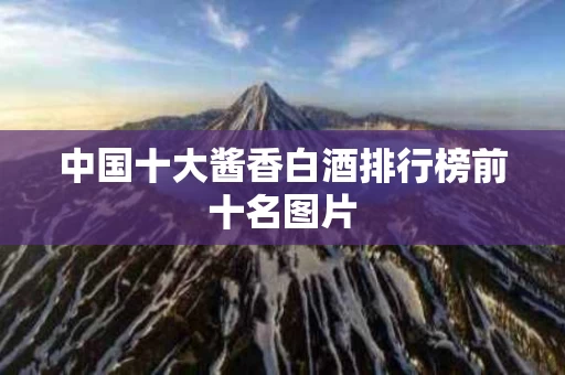 中国十大酱香白酒排行榜前十名图片