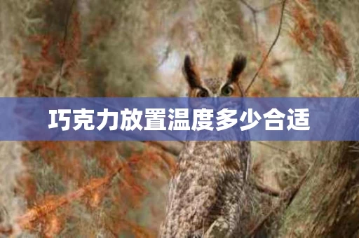 巧克力放置温度多少合适