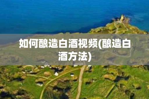 如何酿造白酒视频(酿造白酒方法)
